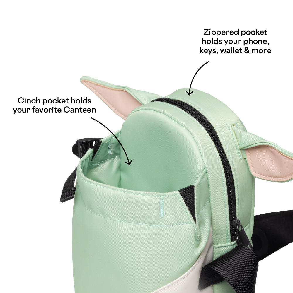 disney-sling-r5 53593b3e49e2--Sling-PDP-4.png