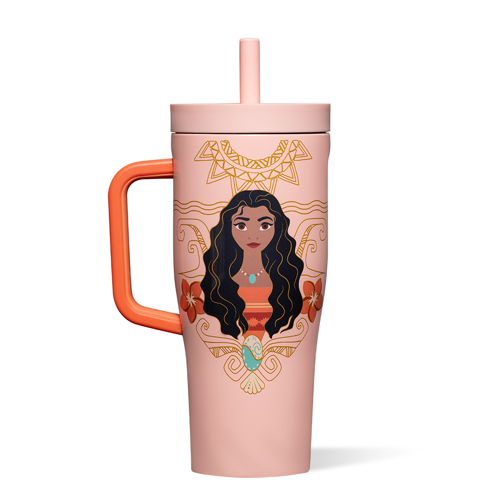 disney-princess-leakproof-cruiser-a3 DIS2222DP-M-01.png